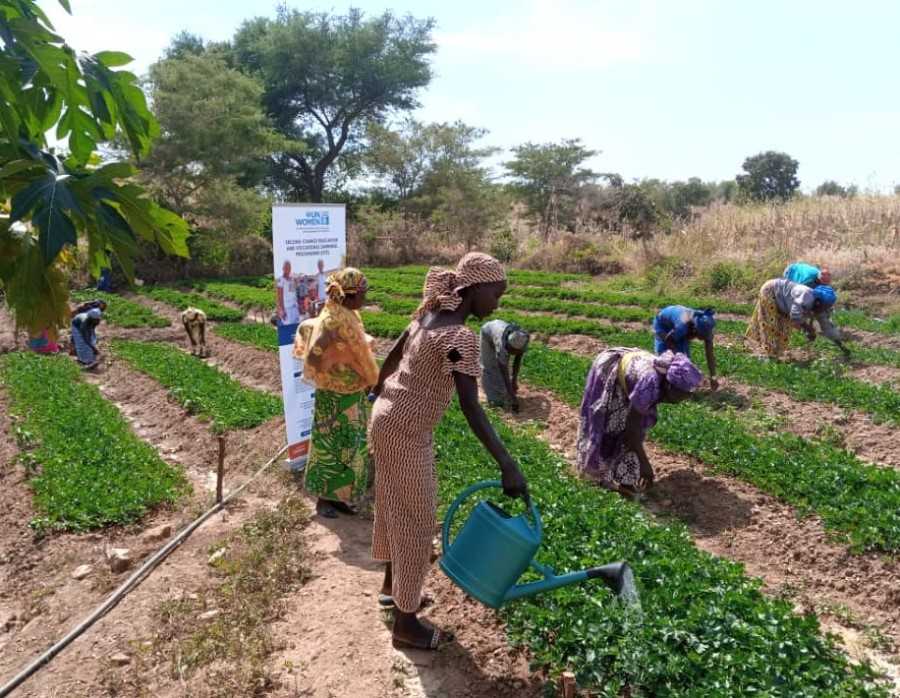 Femmes cultivant des cultures