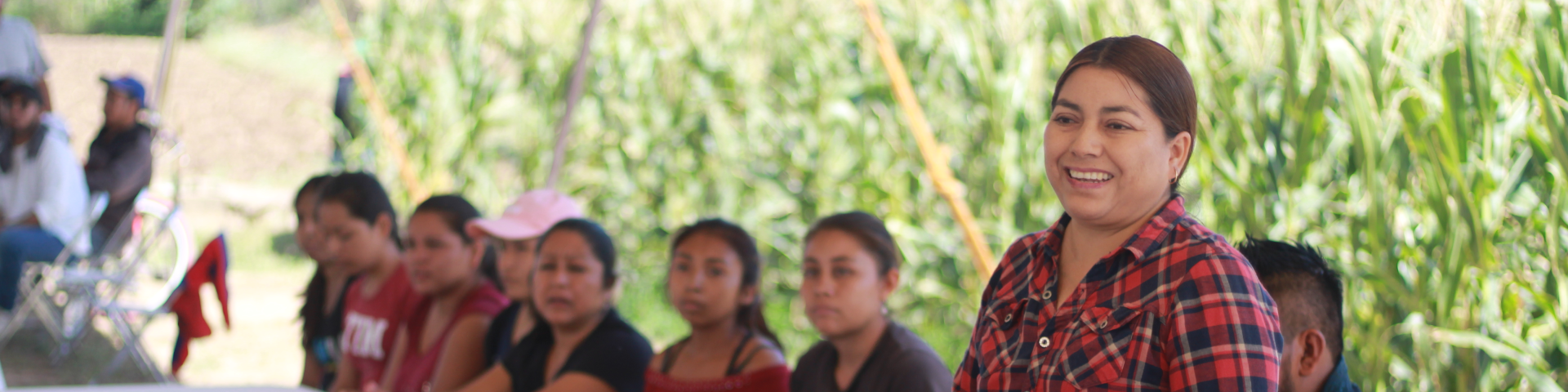 Mexico banner image